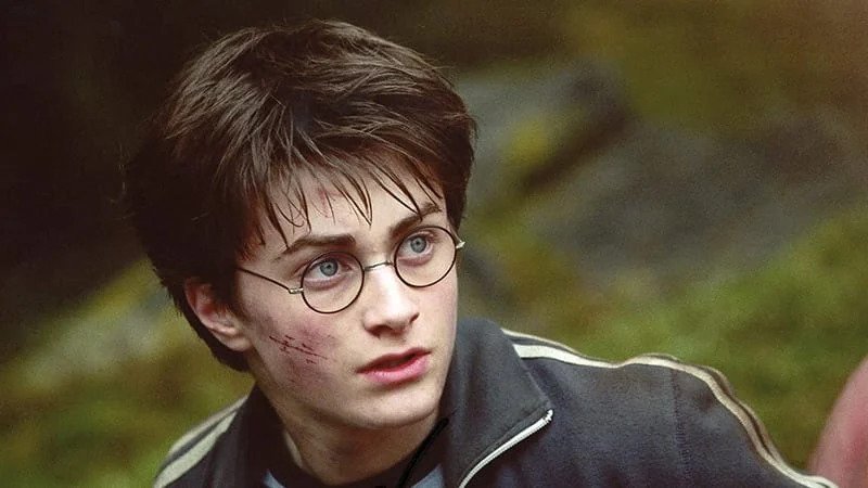 Harry Potter đã cắt bỏ nhân vật mạnh bậc nhất, chỉ cần xuất hiện là phim sẽ hết ngay lập tức - ảnh 3