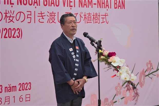 Hà Nội tiếp nhận, trồng 110 cây hoa anh đào tại Công viên Hòa Bình - ảnh 3