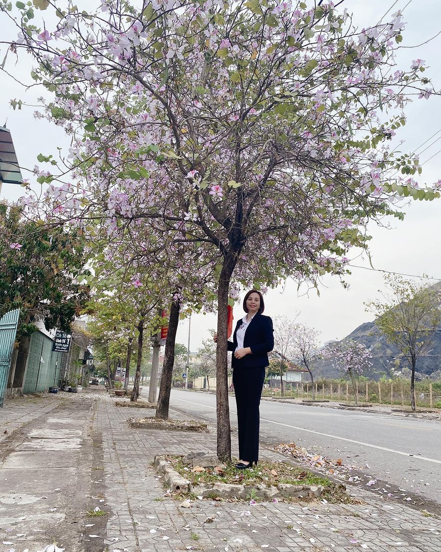 Ngất ngây trước vẻ đẹp Điện Biên mùa hoa ban nở lung linh nhất trong năm - ảnh 12