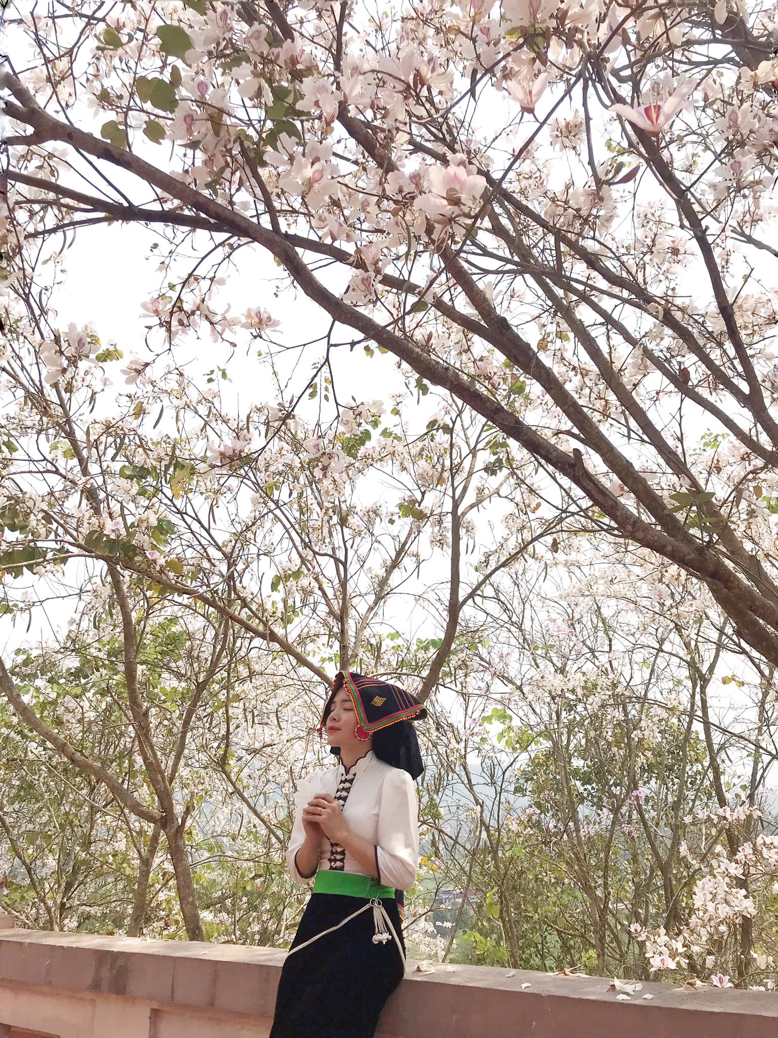 Ngất ngây trước vẻ đẹp Điện Biên mùa hoa ban nở lung linh nhất trong năm - ảnh 2