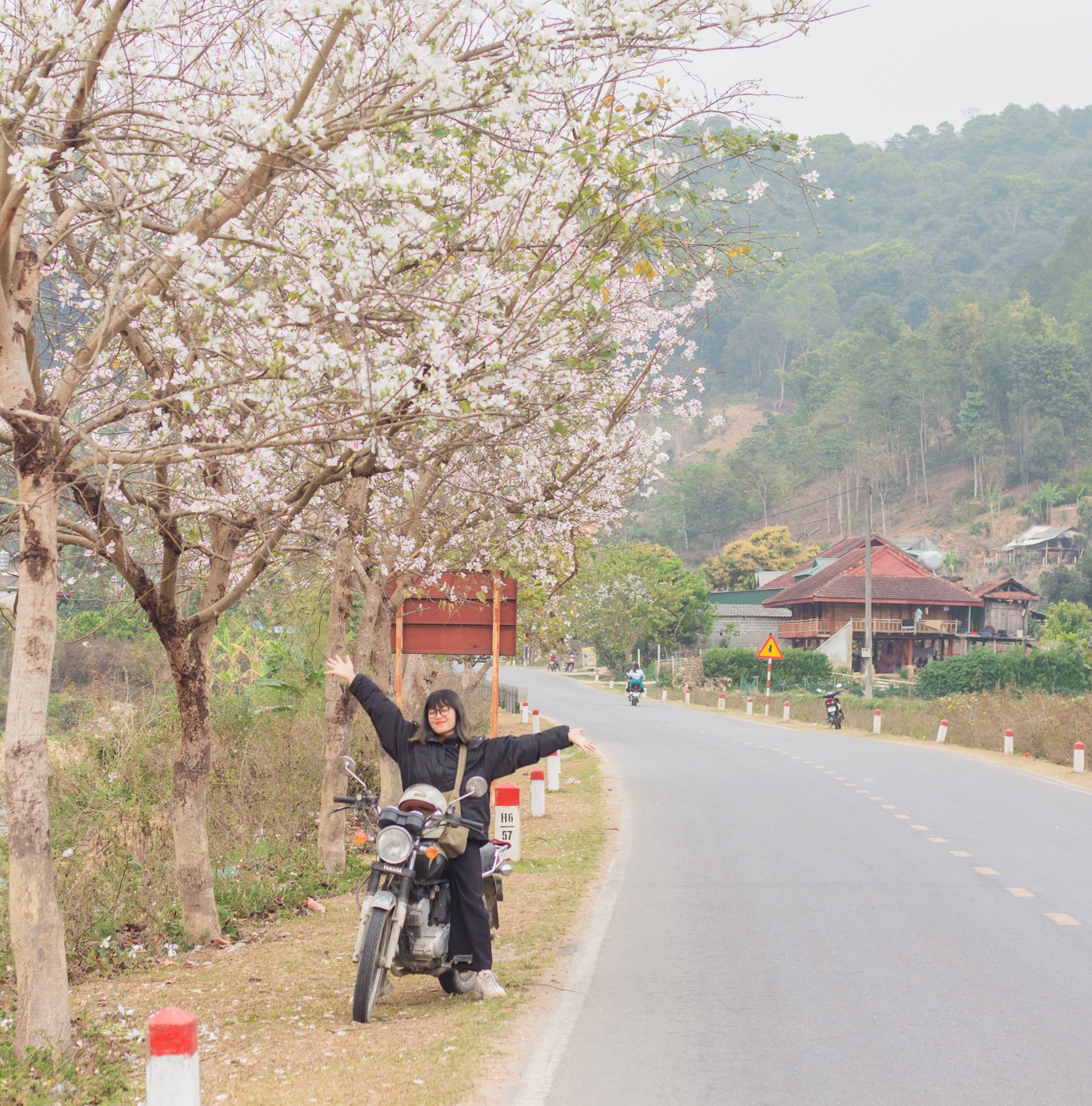 Ngất ngây trước vẻ đẹp Điện Biên mùa hoa ban nở lung linh nhất trong năm - ảnh 5