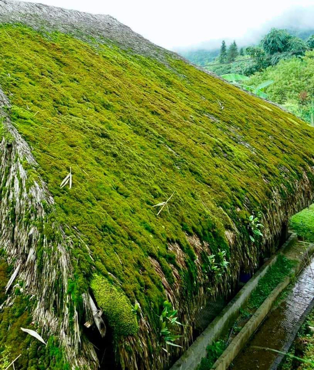 Cứ ngỡ trong truyện cổ tích nhưng những mái nhà phủ rêu ngoài đời thật lại ở ngay vùng đất gây thương nhớ của Việt Nam - ảnh 4