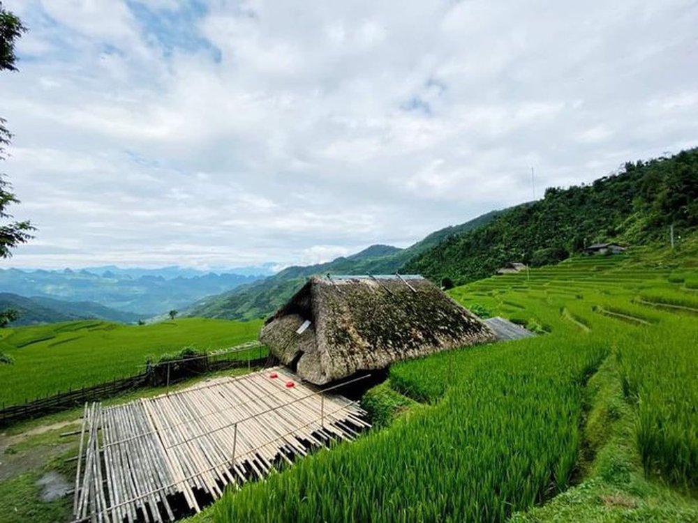 Cứ ngỡ trong truyện cổ tích nhưng những mái nhà phủ rêu ngoài đời thật lại ở ngay vùng đất gây thương nhớ của Việt Nam - ảnh 2