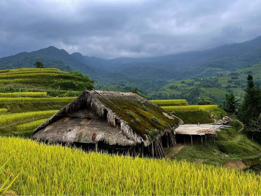 Cứ ngỡ trong truyện cổ tích nhưng những mái nhà phủ rêu ngoài đời thật lại ở ngay vùng đất gây thương nhớ của Việt Nam - ảnh 3