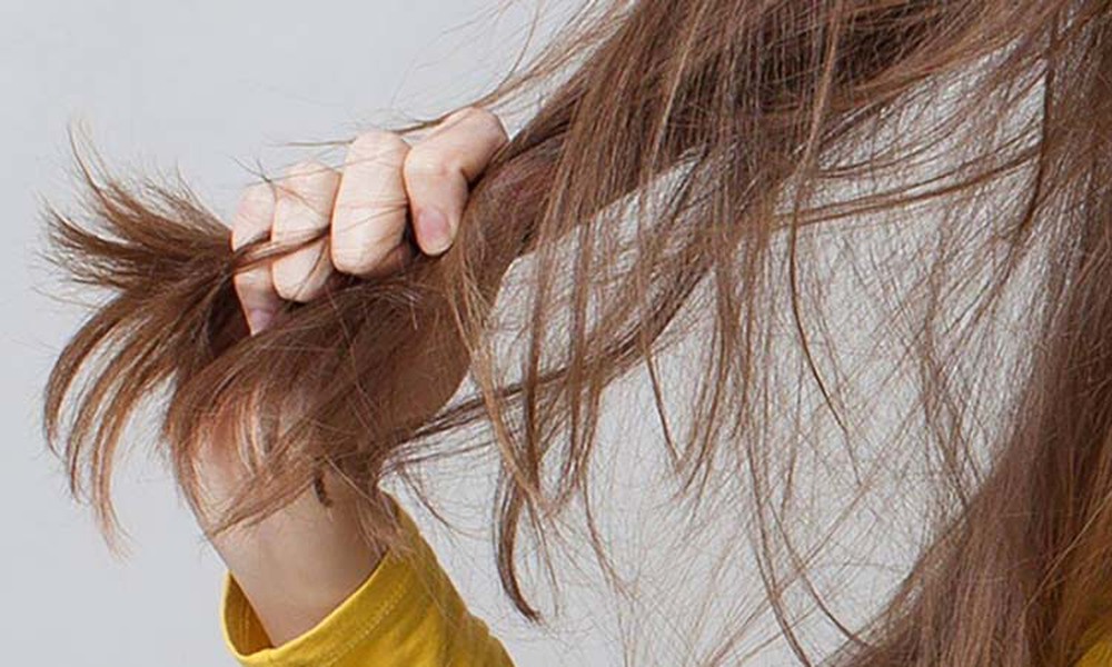 7 nguyên nhân khiến tóc xơ xác, thưa thớt: Hiểu để chăm sóc tóc khỏe mạnh - ảnh 1