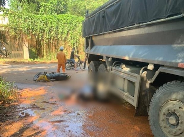 Đồng Nai: Xe tải mất lái gây tai nạn làm 2 người tử vong - ảnh 1