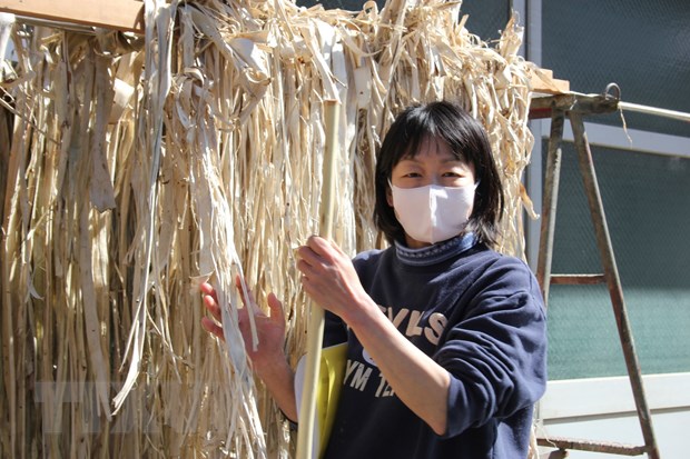 Doanh nghiệp Nhật Bản tận dụng thực phẩm thừa để làm giấy truyền thống - ảnh 2