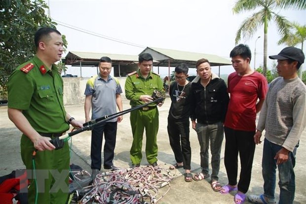 Quảng Ninh bắt giữ các tàu khai thác thủy sản trái phép - ảnh 1