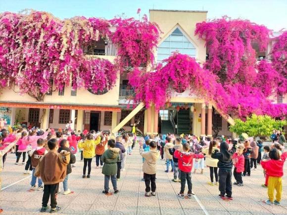 Dân mạng ''phát sốt'' với ngôi trường mầm non được phủ hồng rực rỡ bằng màu hoa giấy ở Sơn La - ảnh 3