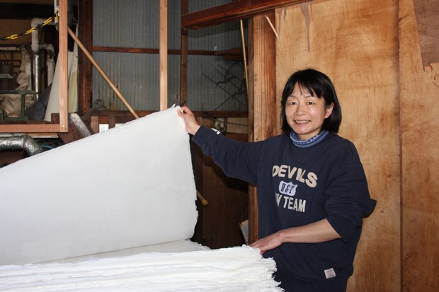 Doanh nghiệp Nhật Bản tận dụng thực phẩm thừa để làm giấy truyền thống - ảnh 1