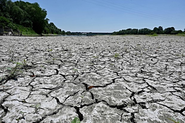 LHQ cảnh báo về “cơ hội cuối” để ngăn tác động xấu do biến đổi khí hậu - ảnh 2