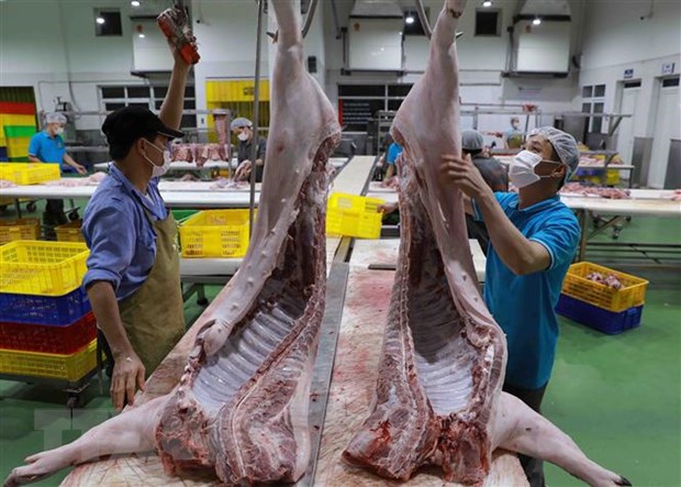 Lào tạm ngừng nhập khẩu không ảnh hưởng lớn đến tiêu thụ thịt lợn - ảnh 1