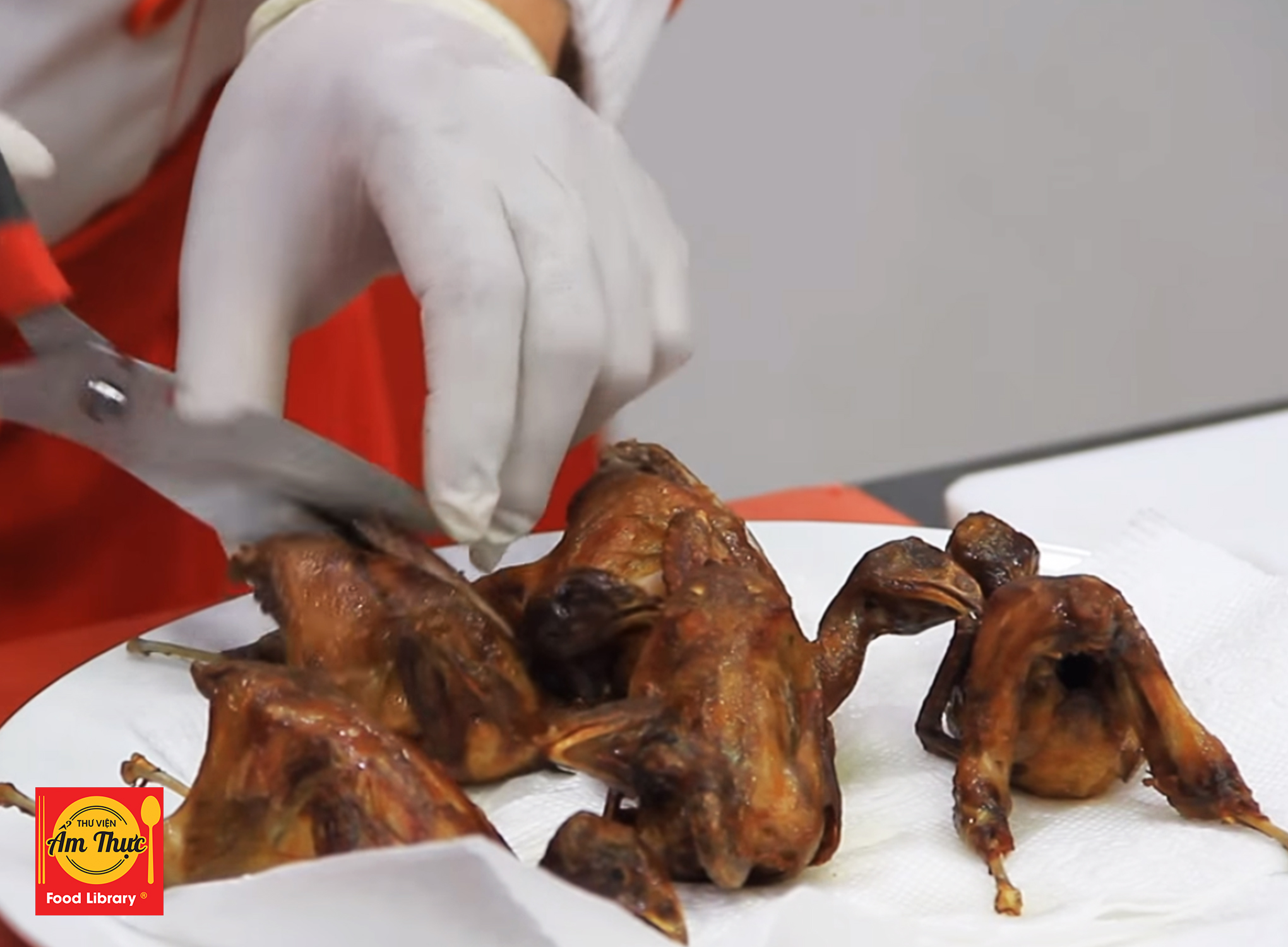 Thịt con bé tí được ví là “sâm động vật”, nấu lên ngon và bổ hơn thịt gà nhưng ít người biết ăn - ảnh 17