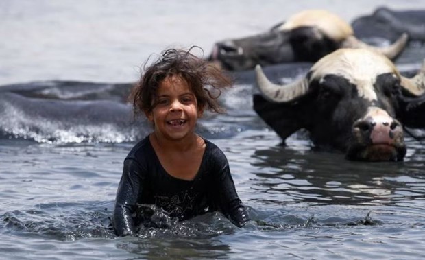 Iraq - quốc gia Trung Đông đầu tiên tham gia Công ước LHQ về nước - ảnh 1