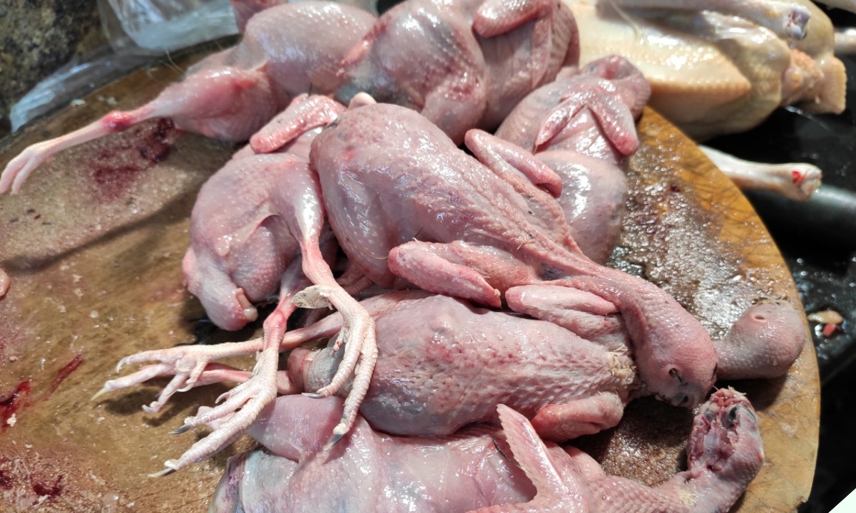 Thịt con bé tí được ví là “sâm động vật”, nấu lên ngon và bổ hơn thịt gà nhưng ít người biết ăn - ảnh 1