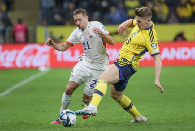 Bỉ thắng đậm Thụy Điển bằng hat-trick của Lukaku - ảnh 1