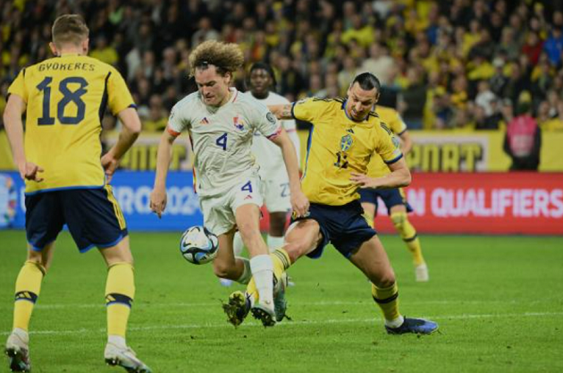 Bỉ thắng đậm Thụy Điển bằng hat-trick của Lukaku - ảnh 8