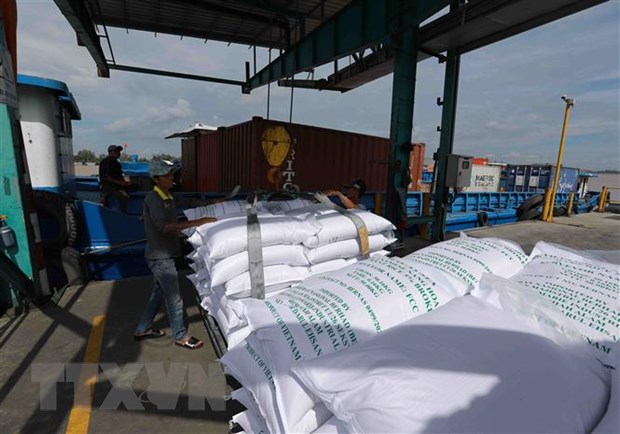 Giá gạo Ấn Độ giảm khi các thương nhân mua gạo Việt Nam - ảnh 1