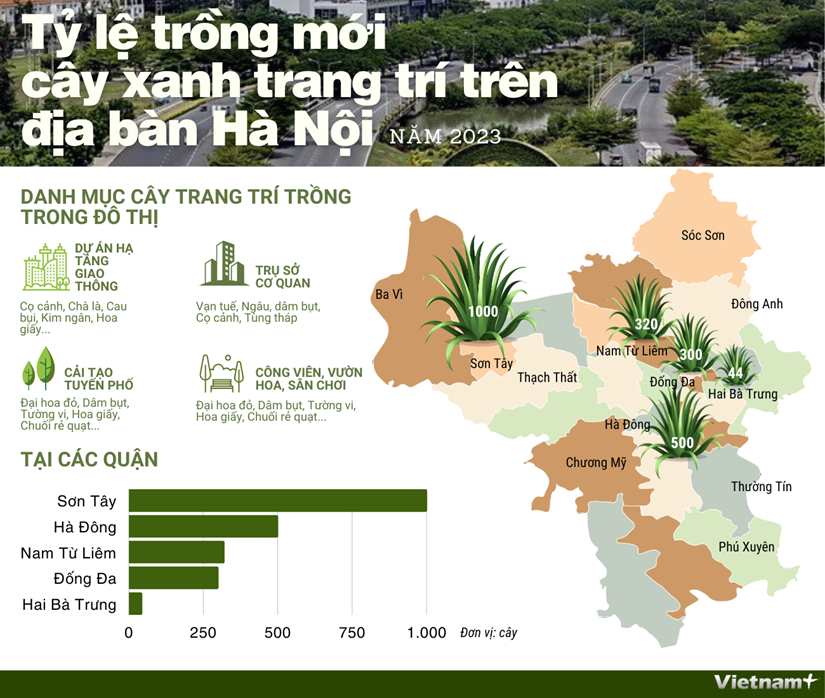 [Infographics] Tỷ lệ trồng mới cây xanh trang trí trên địa bàn Hà Nội - ảnh 1