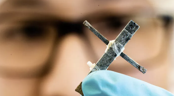 Thụy Điển phát triển thành công transistor bằng gỗ đầu tiên thế giới - ảnh 1
