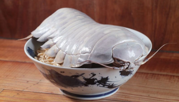 Thưởng thức món mỳ ramen kết hợp bọ biển khổng lồ 14 chân - ảnh 1