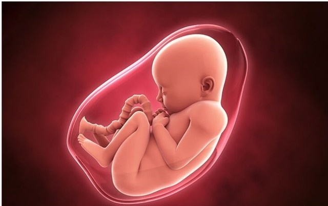 Nguồn gốc thú vị của nước ối và tầm quan trọng của nó khi mang thai - ảnh 1