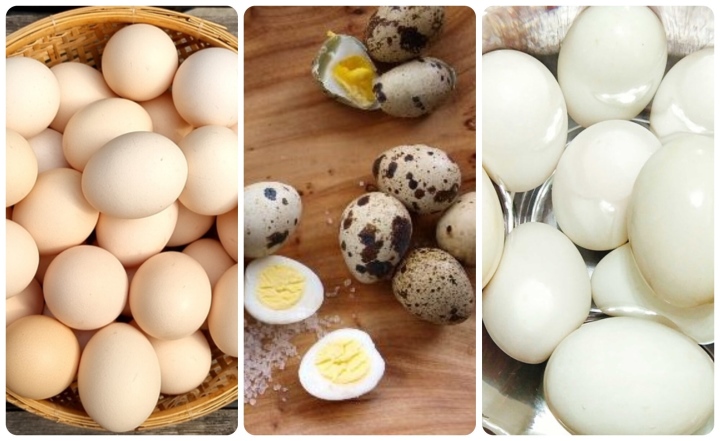 Trứng gà, trứng vịt, trứng cút: Ăn trứng nào bổ dưỡng nhất? - ảnh 1