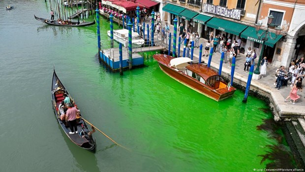 Vùng nước xanh huỳnh quang kỳ lạ xuất hiện trên kênh đào Venice - ảnh 1