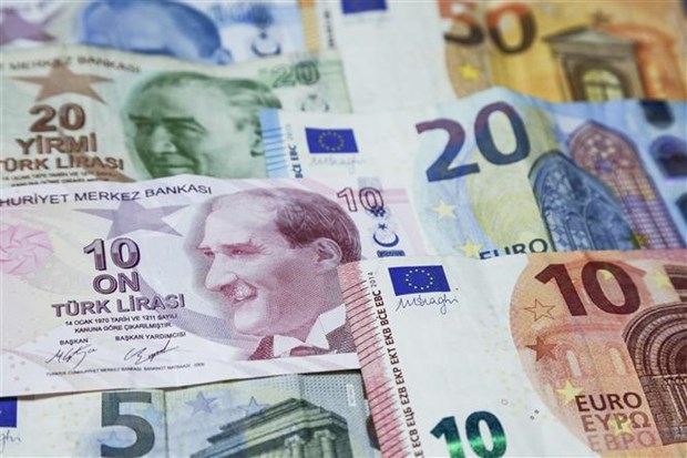 Đồng lira của Thổ Nhĩ Kỳ tiếp tục lập kỷ lục về mất giá mới - ảnh 1