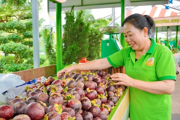 Tưng bừng Lễ hội trái cây Nam Bộ tại Thành phố Hồ Chí Minh - ảnh 3