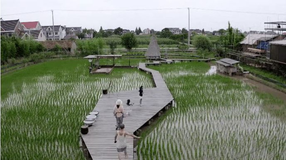Bán nhà thành phố, đôi vợ chồng Trung Quốc về quê mua mảnh đất hoang 12.000m2 sống “tự cung tự cấp”: Tự do về cả vật chất lẫn tinh thần - ảnh 4