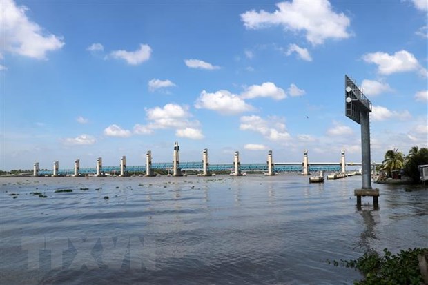 Xâm nhập mặn ở Đồng bằng sông Cửu Long đang giảm dần - ảnh 1