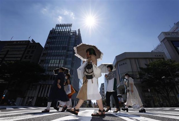 Nhật Bản thông qua kế hoạch giảm một nửa số ca tử vong do nắng nóng - ảnh 1
