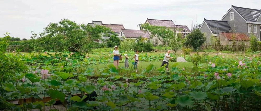 Bán nhà thành phố, đôi vợ chồng Trung Quốc về quê mua mảnh đất hoang 12.000m2 sống “tự cung tự cấp”: Tự do về cả vật chất lẫn tinh thần - ảnh 1