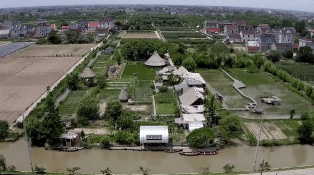 Bán nhà thành phố, đôi vợ chồng Trung Quốc về quê mua mảnh đất hoang 12.000m2 sống “tự cung tự cấp”: Tự do về cả vật chất lẫn tinh thần - ảnh 2