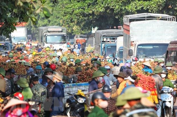 Quốc lộ 31 thi công khiến người dân ''thủ phủ vải'' Bắc Giang gặp khó - ảnh 2