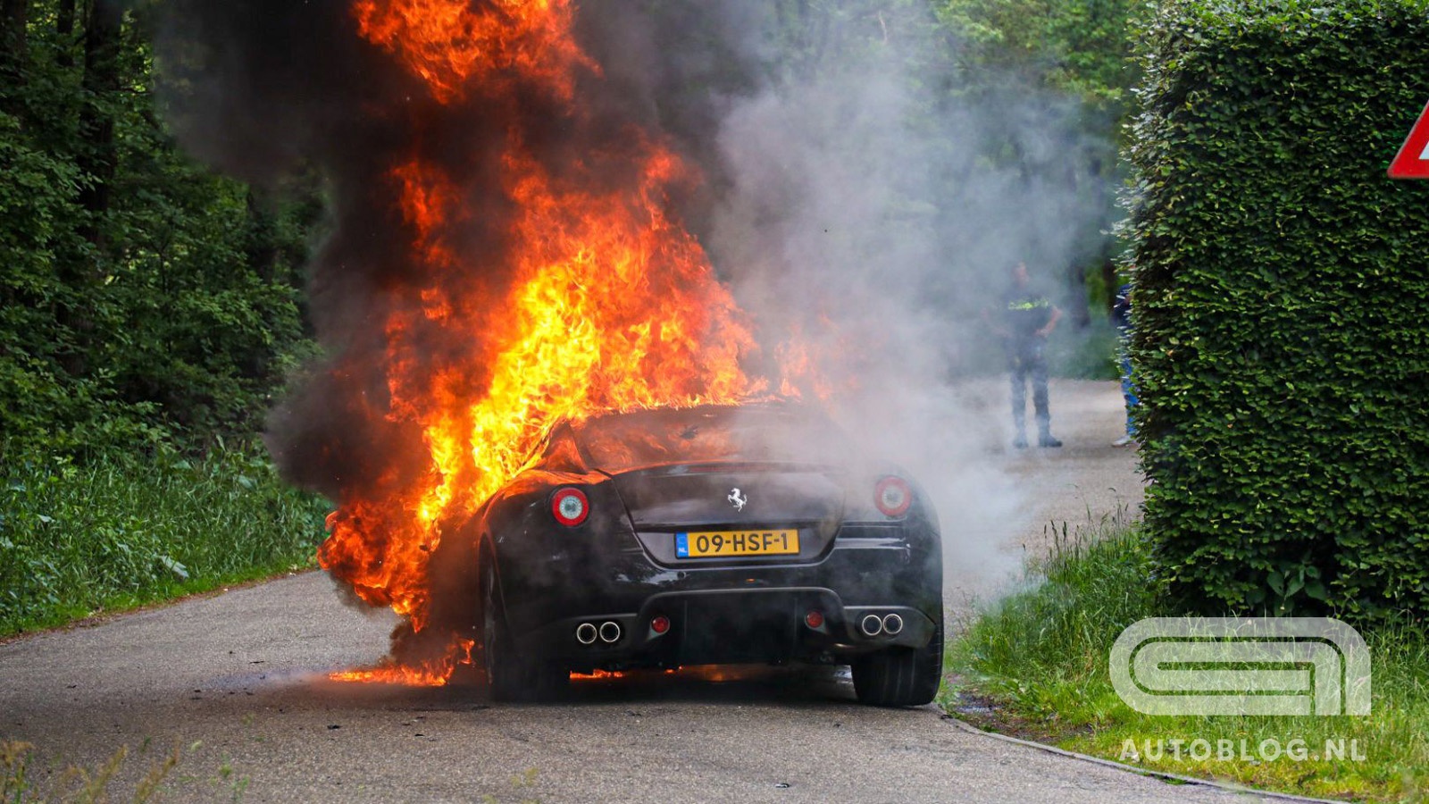 Siêu xe Ferrari 599 GTB Fiorano cháy rụi tại Hà Lan - ảnh 1