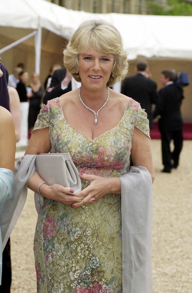 Ngoại hình Hoàng hậu Camilla trong hơn 4 thập kỷ qua - ảnh 10
