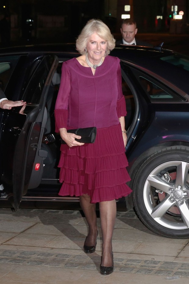 Ngoại hình Hoàng hậu Camilla trong hơn 4 thập kỷ qua - ảnh 20