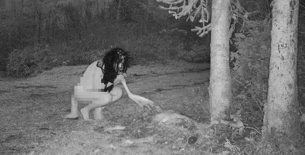 Thấy xác hươu ở trong vườn, người phụ nữ đặt camera thì chứng kiến cảnh tượng đáng sợ - ảnh 2