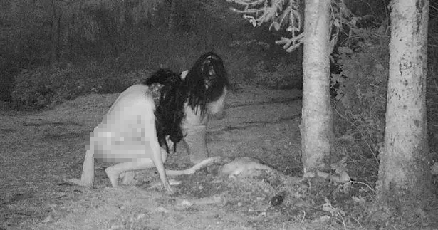 Thấy xác hươu ở trong vườn, người phụ nữ đặt camera thì chứng kiến cảnh tượng đáng sợ - ảnh 4