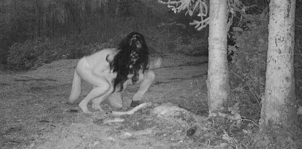 Thấy xác hươu ở trong vườn, người phụ nữ đặt camera thì chứng kiến cảnh tượng đáng sợ - ảnh 3