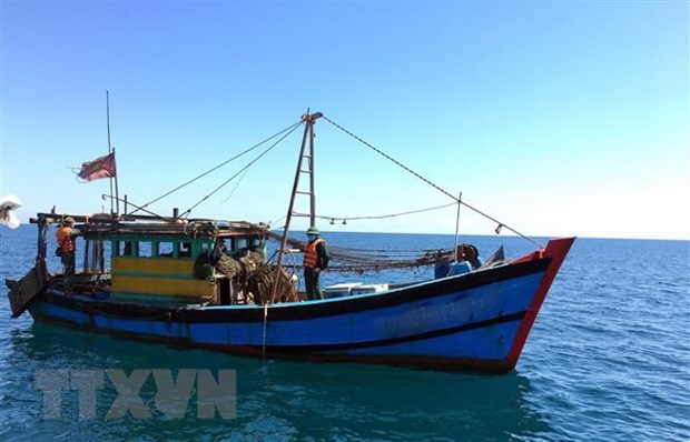 Thừa Thiên-Huế: Tạm giữ tàu cá khai thác giã cào trái phép trong đêm - ảnh 1