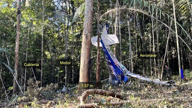 Làm sao 4 đứa trẻ sống sót khi máy bay rơi xuống Amazon? - ảnh 1