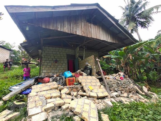 Động đất có độ lớn 6,0 làm rung chuyển ngoài khơi Indonesia - ảnh 1