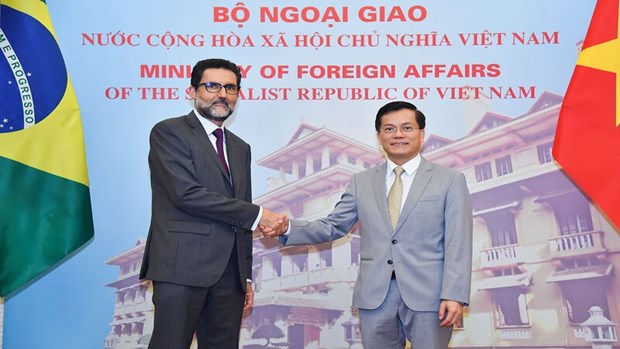 Tăng cường hơn nữa hợp tác song phương giữa Việt Nam và Brazil - ảnh 1