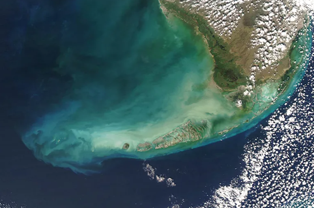 Các đại dương đang đổi màu vì biến đổi khí hậu toàn cầu - ảnh 1