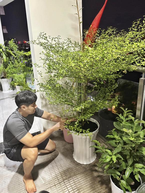Mê mẩn ban công ngập cây xanh và hoa trong nhà MC Nguyên Khang