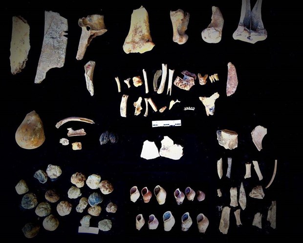 Phát hiện gần 200 di vật có niên đại đến 10.000 năm ở Bắc Kạn - ảnh 5