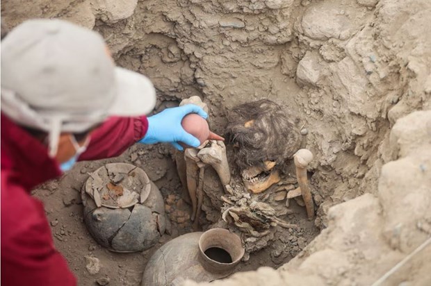 Peru: Khai quật xác ướp 1.000 năm tuổi tại một khu dân cư ở thủ đô - ảnh 1